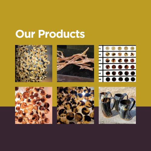 Our Products